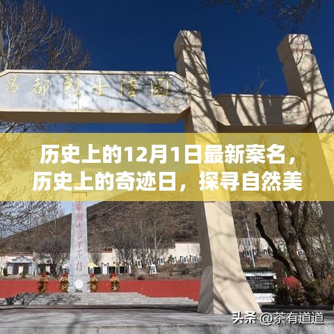 探尋奇跡日，歷史上的自然美景之旅與寧靜革命之路的探尋