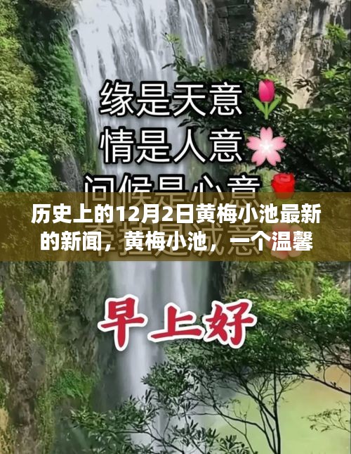 黃梅小池，溫馨日常與愛的紐帶——?dú)v史上的今天新聞回顧，12月2日的愛與陪伴故事