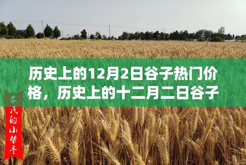 深度解析，歷史上的谷子熱門價(jià)格變遷與背景事件影響——十二月二日的回顧與剖析