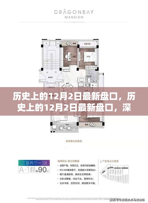 深度解析，歷史上的12月2日最新盤口及其觀點闡述