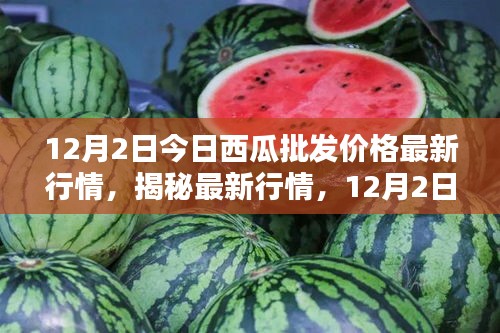 揭秘最新行情，深度解析12月2日西瓜批發(fā)價格走勢及最新行情