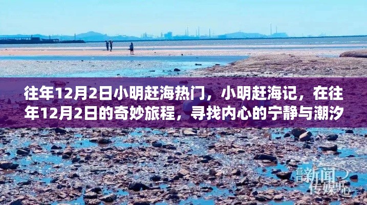 小明趕海記，尋找潮汐之聲與內(nèi)心的寧靜之旅