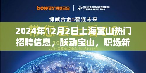 躍動寶山，職場新星，上海寶山熱門招聘信息全解析（2024年）