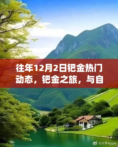 鈀金之旅，與自然美景相遇，探尋內(nèi)心寧靜的熱門動態(tài)回顧