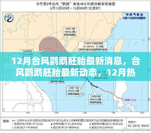 臺(tái)風(fēng)鸚鵡胚胎最新消息，12月熱帶風(fēng)暴孕育與影響回顧