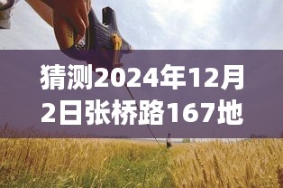 張橋路167地塊，溫馨日常的預(yù)測與小故事的美好展望（2024年12月2日）