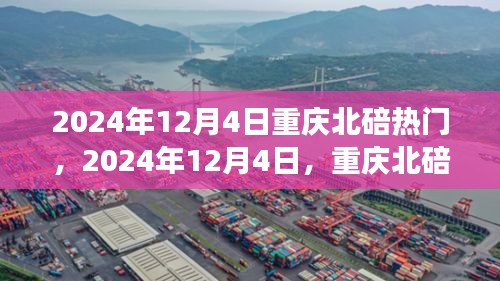 2024年12月4日重慶北碚之旅，探尋自然美景，重拾心靈寧靜