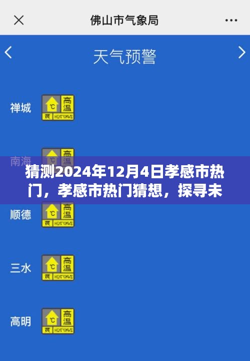 探尋孝感市未來魅力風采，2024年12月4日熱門猜想與風采展望