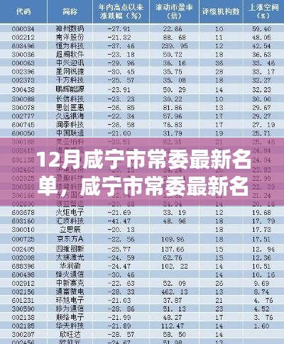 12月咸寧市常委最新名單，咸寧市常委最新名單科技新品亮相，智能時(shí)代，革新未來(lái)體驗(yàn)