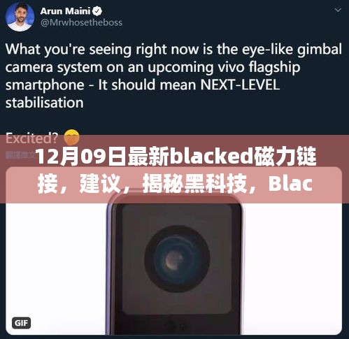 揭秘黑科技，Blacked磁力鏈接革新之作——探索未來(lái)科技犯罪的邊緣