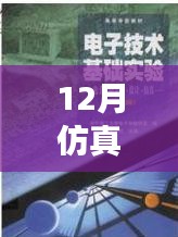 仿真之路，實時啟航，迎接自信與成就感的魔法時刻——十二月仿真需求解析