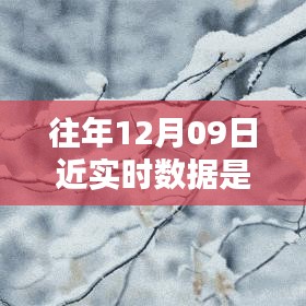 往年12月9日數(shù)據(jù)的魔法，溫馨回憶中的實(shí)時(shí)時(shí)光