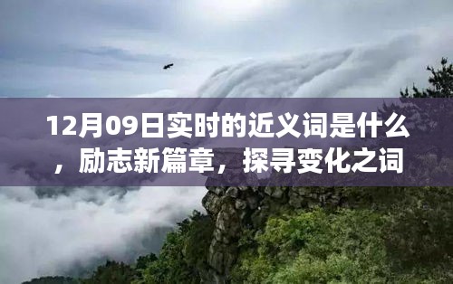 12月09日實(shí)時(shí)近義詞探索與勵(lì)志新篇章，探尋詞匯魔力，學(xué)習(xí)鑄就自信成就之橋