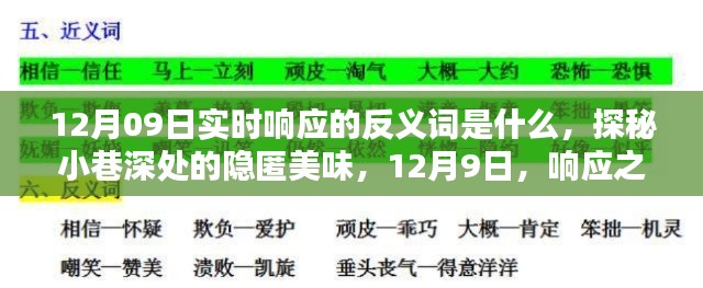 探秘實時響應(yīng)反義詞與小巷深處的隱匿美味，12月9日的探索之旅