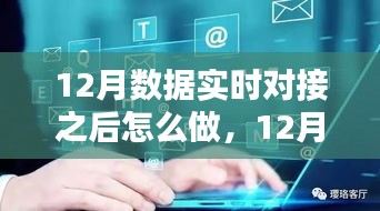 12月數(shù)據(jù)實(shí)時(shí)對(duì)接后的策略指南，多方考量與行動(dòng)步驟