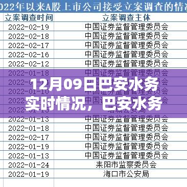 巴安水務實時情況詳解與操作指南，初學者與進階用戶適用的任務指南（12月09日）