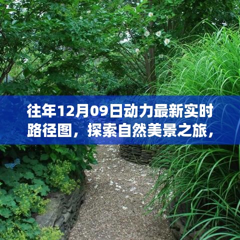 往年12月09日動力路徑圖，自然美景探索之旅的寧靜與和諧體驗