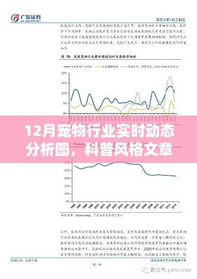 揭秘寵物行業(yè)趨勢，12月寵物行業(yè)實(shí)時(shí)動態(tài)科普分析圖