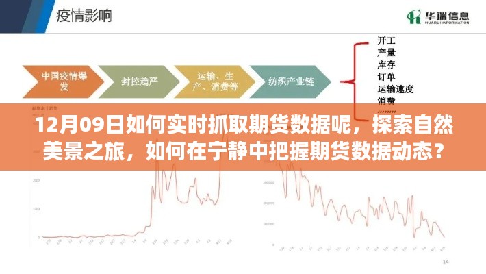 探索自然美景之旅與實(shí)時抓取期貨數(shù)據(jù)，寧靜中的動態(tài)把握策略