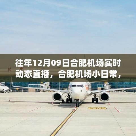 云端下的溫馨相遇，合肥機場12月9日實時動態(tài)直播小日常