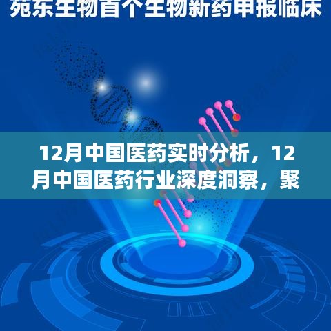 聚焦實(shí)時(shí)分析，探尋中國醫(yī)藥行業(yè)深度洞察與發(fā)展之路