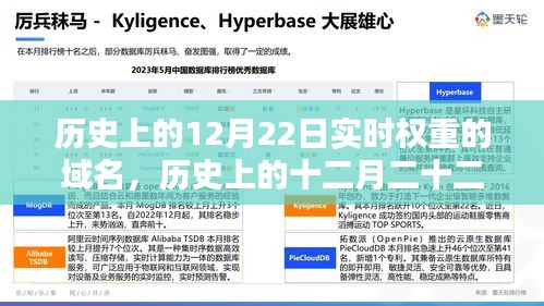探尋實時權(quán)重域名，歷史上的十二月二十二日回顧與揭秘