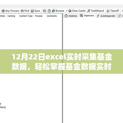 Excel基金數(shù)據(jù)實時采集進階，掌握實時動態(tài)，輕松管理投資組合（12月22日）