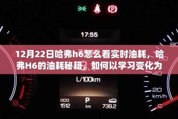 哈弗H6實時油耗秘籍，學(xué)習(xí)變化為燃料，駛向自信彼岸的指南