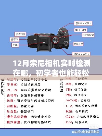 初學(xué)者也能輕松掌握！12月索尼相機(jī)實(shí)時(shí)檢測(cè)功能使用指南