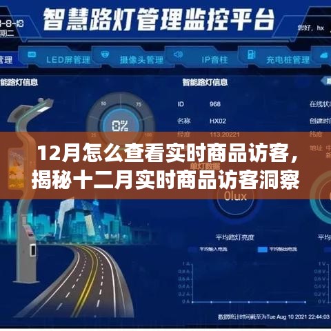 揭秘十二月實時商品訪客洞察，洞悉訪客動態(tài)與商業(yè)進展的秘訣