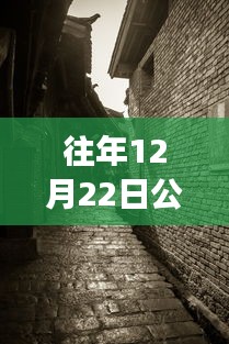 探秘寶藏店，公路云實時監(jiān)控軟件下載新體驗，12月22日實時下載探秘小巷深處之旅