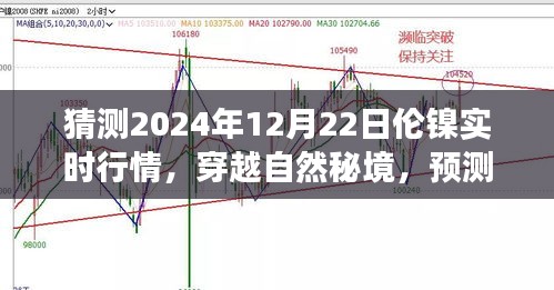 倫鎳行情預(yù)測與心靈之旅，穿越自然秘境，探索2024年倫鎳實時行情的奇妙交織