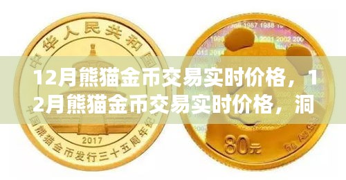 12月熊貓金幣實時交易價格，洞悉市場動態(tài)，把握投資機會