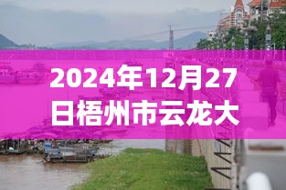 梧州市云龍大橋?qū)崟r水位監(jiān)測指南，以初學(xué)者和進階用戶視角看水位監(jiān)測