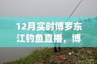 博羅東江畔的釣魚盛宴，12月實時釣魚直播開啟！