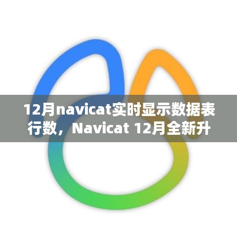 Navicat 12月升級亮點(diǎn)，實(shí)時數(shù)據(jù)表行數(shù)顯示，科技助力數(shù)據(jù)管理便捷性