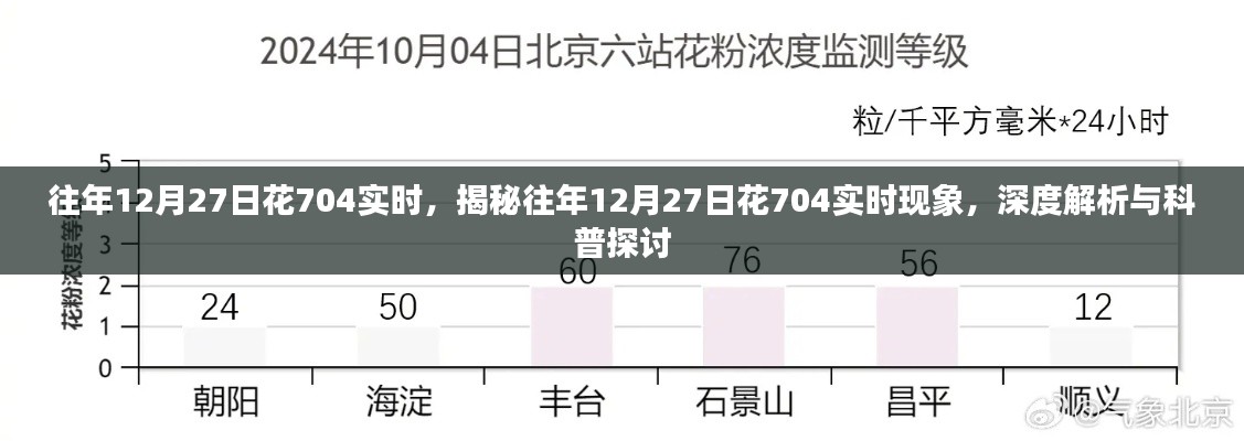 揭秘與深度解析，往年12月27日花704實(shí)時(shí)現(xiàn)象探討