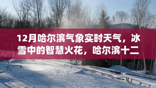 哈爾濱十二月冰雪智慧，氣象實(shí)時(shí)觀察與啟示錄