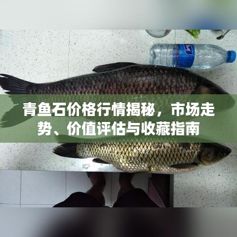 青魚石價格行情揭秘，市場走勢、價值評估與收藏指南