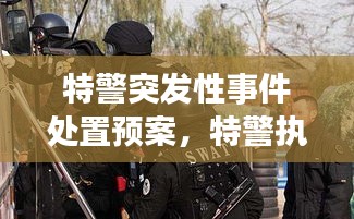 特警突發(fā)性事件處置預案，特警執(zhí)勤突發(fā)事件視頻 