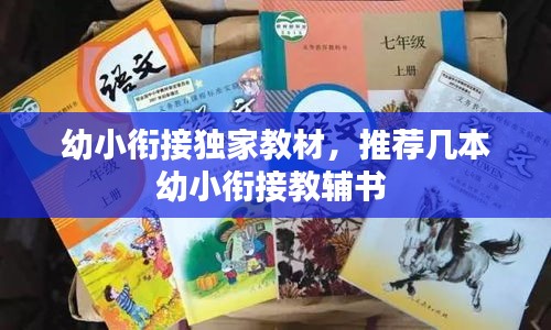 幼小銜接獨家教材，推薦幾本幼小銜接教輔書 