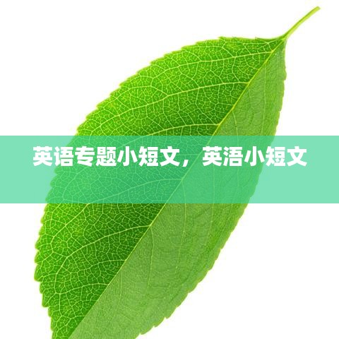 英語專題小短文，英浯小短文 