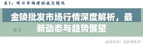 金陵批發(fā)市場行情深度解析，最新動態(tài)與趨勢展望