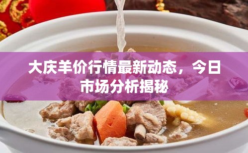 大慶羊價行情最新動態(tài)，今日市場分析揭秘