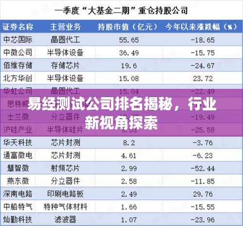 易經(jīng)測(cè)試公司排名揭秘，行業(yè)新視角探索