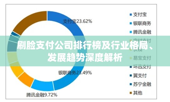 刷臉支付公司排行榜及行業(yè)格局、發(fā)展趨勢(shì)深度解析