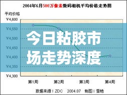 今日粘膠市場走勢深度解析，最新行情報告