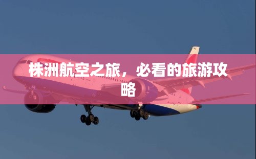 株洲航空之旅，必看的旅游攻略