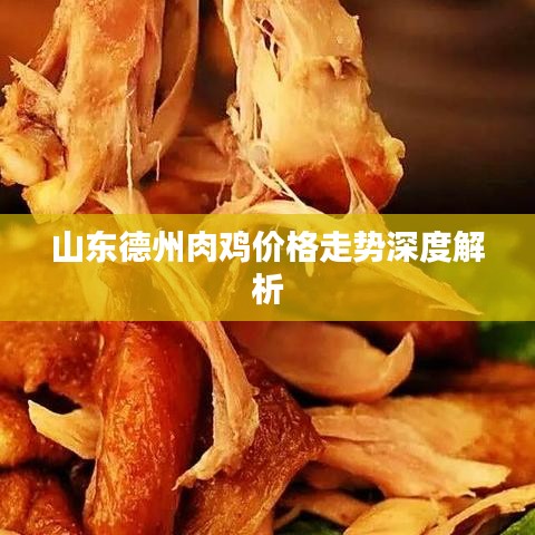 山東德州肉雞價(jià)格走勢(shì)深度解析