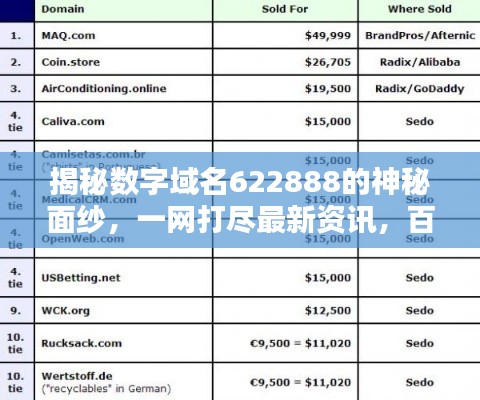揭秘?cái)?shù)字域名622888的神秘面紗，一網(wǎng)打盡最新資訊，百度直達(dá)！
